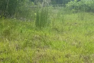 18890 SW 44th St, Dunnellon, FL 34432 - Photo 15