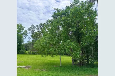 000 SE 197th Place, Inglis, FL 34449 - Photo 3