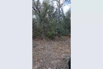 Tbd NE 234 Place, Fort Mc Coy, FL 32134 - Photo 5