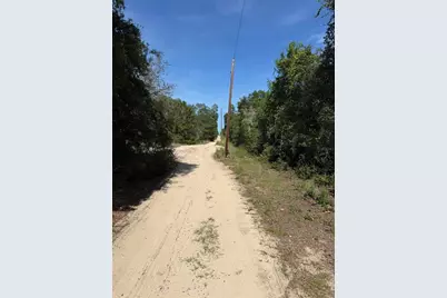 Tbd NE 234 Place, Fort Mc Coy, FL 32134 - Photo 3