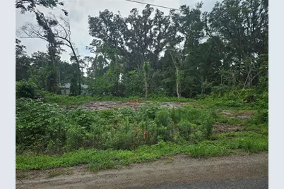 Tbd NW 65th Place, Ocala, FL 34482 - Photo 1