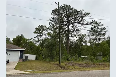 Fisher Lane Terrace, Ocklawaha, FL 32179 - Photo 5
