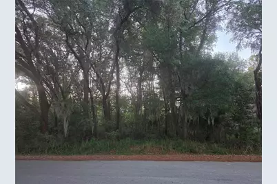Pine Circle, Ocala, FL 34472 - Photo 3