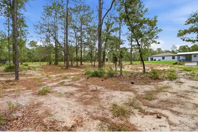 16125 Magpie Road, Weeki Wachee, FL 34614 - Photo 41