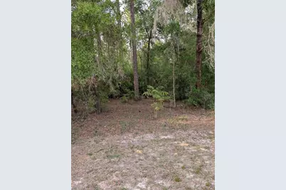 15475 SW 36th Street, Ocala, FL 34481 - Photo 5