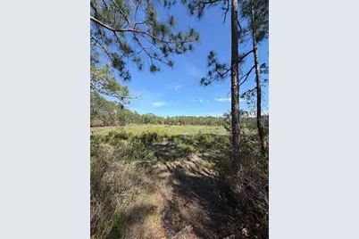 Tbd NE 114 Ave Road, Fort Mc Coy, FL 32134 - Photo 5