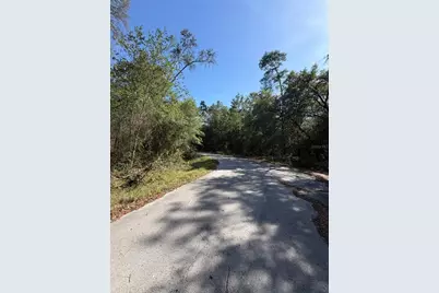 Tbd NE 114 Ave Road, Fort Mc Coy, FL 32134 - Photo 3