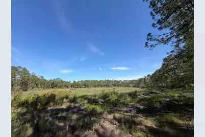 Tbd NE 114 Ave Road, Fort Mc Coy, FL 32134 - Photo 1