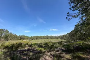 Tbd NE 114 Ave Rd, Fort Mc Coy, FL 32134 - Photo 1