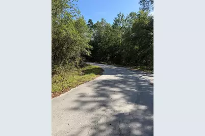 Tbd NE 114 Ave Road, Fort Mc Coy, FL 32134 - Photo 7