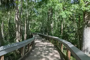 4300 NE 132nd Ct, Silver Springs, FL 34488 - Photo 47