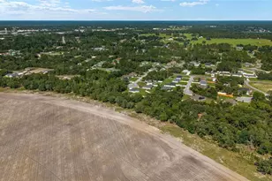 10 Olive Ln, Ocala, FL 34472 - Photo 53
