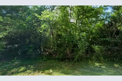 11924 W Deodar Street, Crystal River, FL 34428 - Photo 3