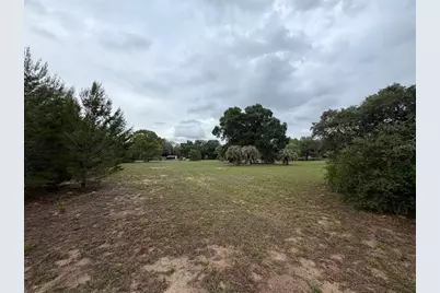 Tbd NE 137th Terrace, Williston, FL 32696 - Photo 5