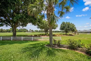 8371 SW 84th Loop, Ocala, FL 34481 - Photo 59