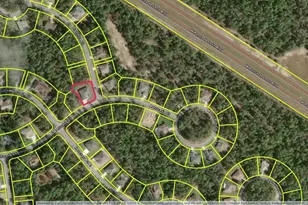 29 Matricaria Ct, Homosassa, FL 34446 - Photo 85