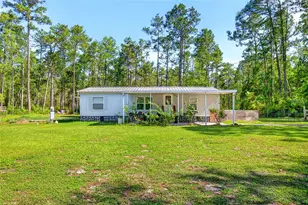 16240 NE 141st Terrace, Fort Mc Coy, FL 32134 - Photo 3