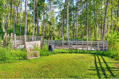 16240 NE 141st Terrace, Fort Mc Coy, FL 32134 - Photo 23