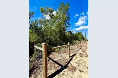 15920 NE 236th Lane, Fort Mc Coy, FL 32134 - Photo 23