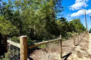 15920 NE 236th Ln, Fort Mc Coy, FL 32134 - Photo 23