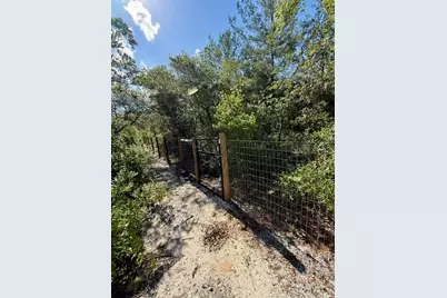 15920 NE 236th Lane, Fort Mc Coy, FL 32134 - Photo 21