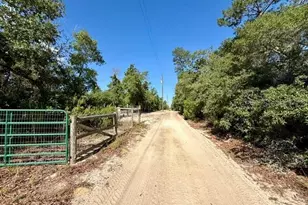 15920 NE 236th Ln, Fort Mc Coy, FL 32134 - Photo 19