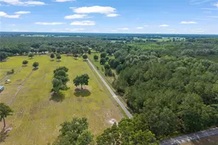 11140 NW 160th Ave, Morriston, FL 32668 - Photo 47