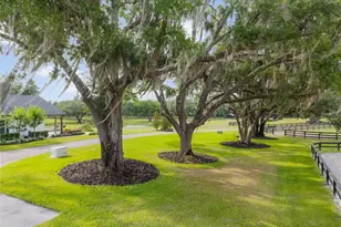 11140 NW 160th Ave, Morriston, FL 32668 - Photo 49