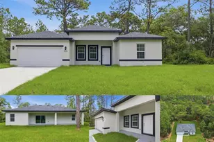 9333 N Samoa Way, Citrus Springs, FL 34433 - Photo 1