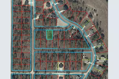 Tbd NE 12th Lane, Williston, FL 32696 - Photo 3