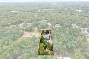 1501 E Bismark St, Hernando, FL 34442 - Photo 65