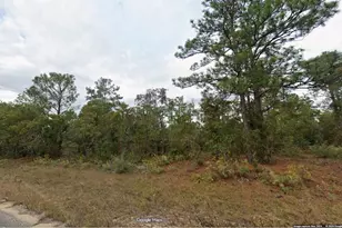 Lot 19 Unit 5 Blk 320 Nolan Dr, Chipley, FL 32428 - Photo 1