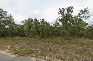 Lot 18 Unit 5 Blk 320 Nolan Dr, Chipley, FL 32428 - Photo 1