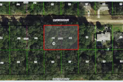 2215 Bluegrass Street, Inverness, FL 34453 - Photo 3