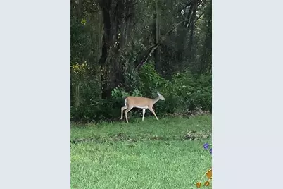 14748 SW 112th Circle, Dunnellon, FL 34432 - Photo 31
