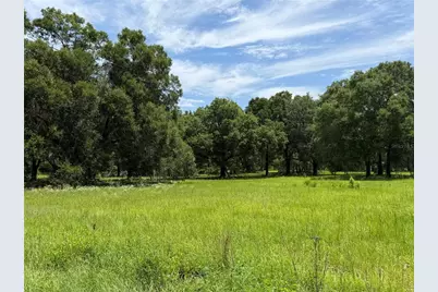 12870 NW 28th Avenue, Reddick, FL 32686 - Photo 5