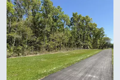 Irvine Acres #5 (13Ac) W Hwy 318, Reddick, FL 32686 - Photo 3