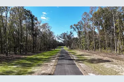 Irvine Acres #5 (13Ac) W Hwy 318, Reddick, FL 32686 - Photo 9