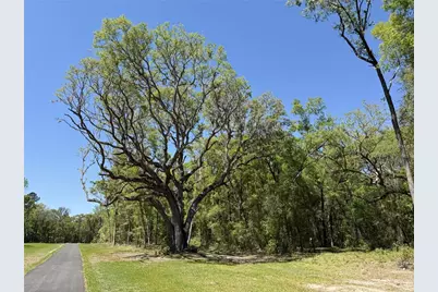 Irvine Acres #5 (13Ac) W Hwy 318, Reddick, FL 32686 - Photo 1
