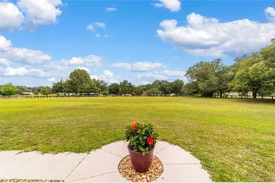 435 NE 155th Street Road, Citra, FL 32113 - Photo 27