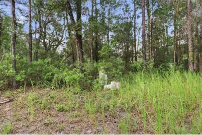 6360 Arizona Street, Brooksville, FL 34604 - Photo 15