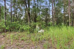6360 Arizona St, Brooksville, FL 34604 - Photo 15