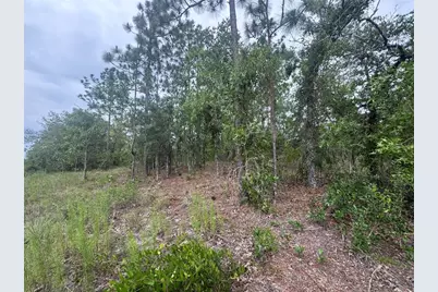 0 SW Egdewater Boulevard, Dunnellon, FL 34431 - Photo 7