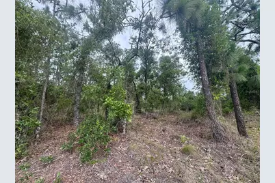 0 SW Egdewater Boulevard, Dunnellon, FL 34431 - Photo 9