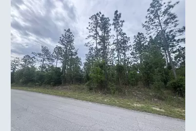 0 SW Egdewater Boulevard, Dunnellon, FL 34431 - Photo 3