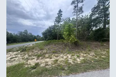 0 SW Egdewater Boulevard, Dunnellon, FL 34431 - Photo 3