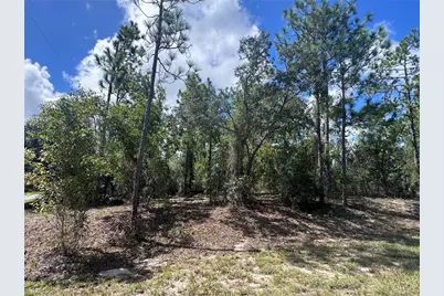 0 SW Egdewater Boulevard, Dunnellon, FL 34431 - Photo 21