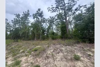 0 SW Egdewater Boulevard, Dunnellon, FL 34431 - Photo 11