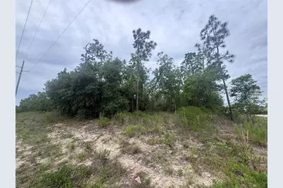 0 SW Egdewater Boulevard, Dunnellon, FL 34431 - Photo 9