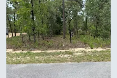 [Address not provided], Dunnellon, FL 34431 - Photo 1